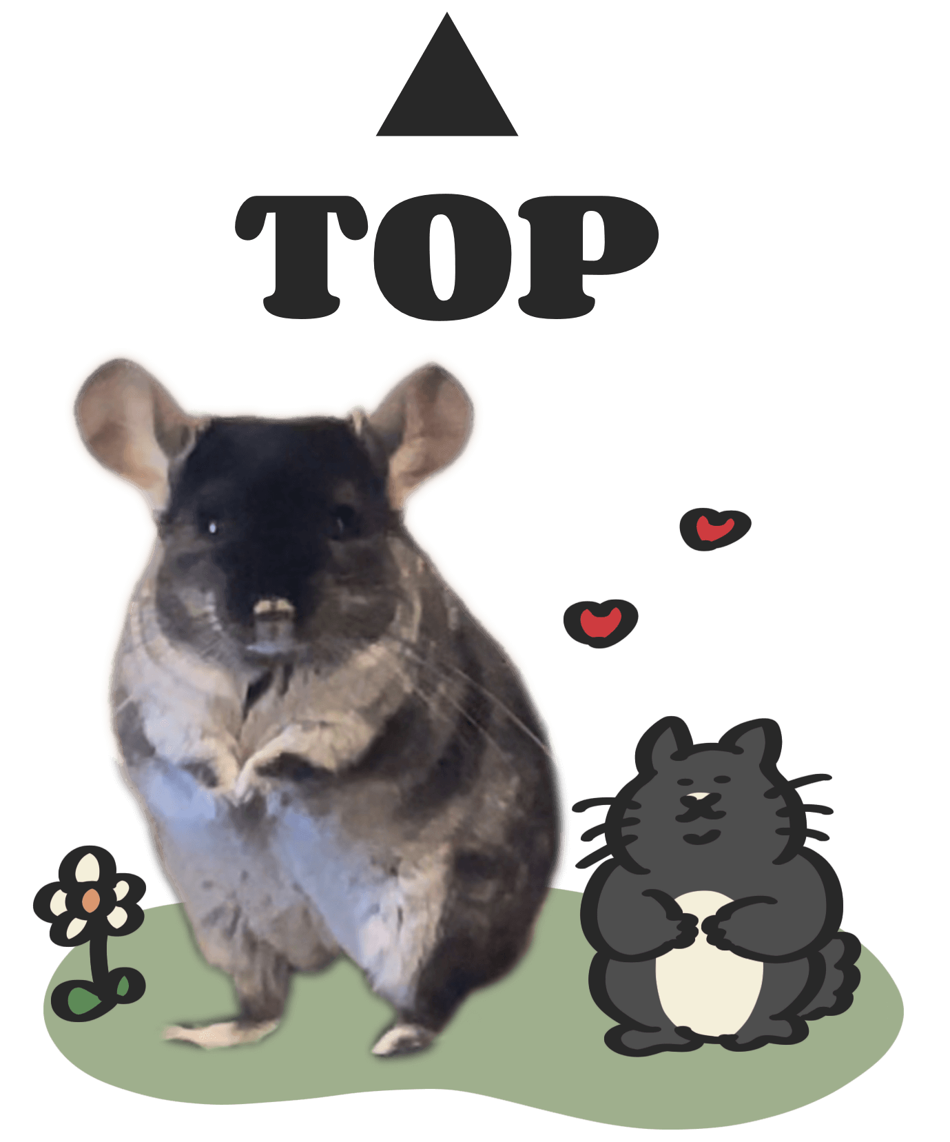 ページのトップへ